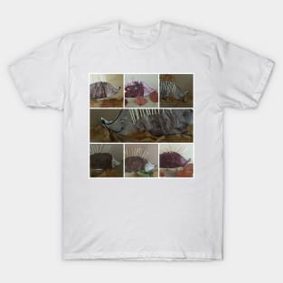 A COLLECTIVE of HEDGEHOGS T-Shirt